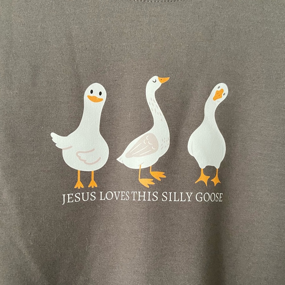 “Jesus Loves this Silly Goose” Graphic Sweatshirt 🪿 - Picture 2 of 3